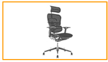 Ergohuman Office Chairs