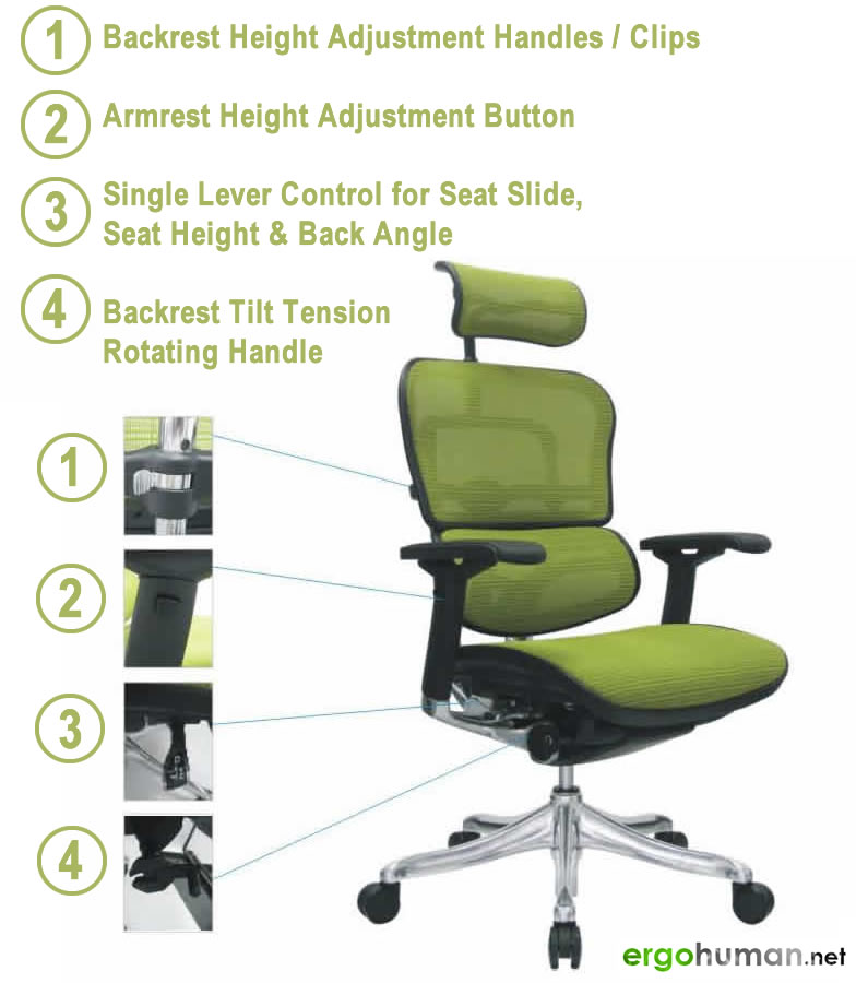 Ergohuman Office Chair Manual Assembly And Instructions