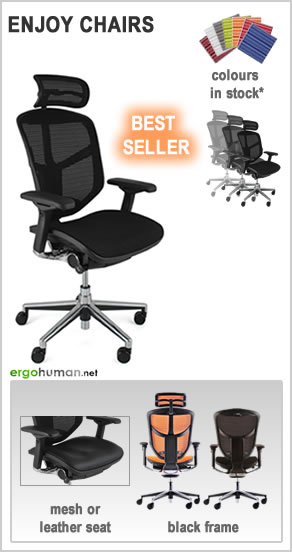 ergonomic office chairs - Enjoy Office Chairs - mesh or leather