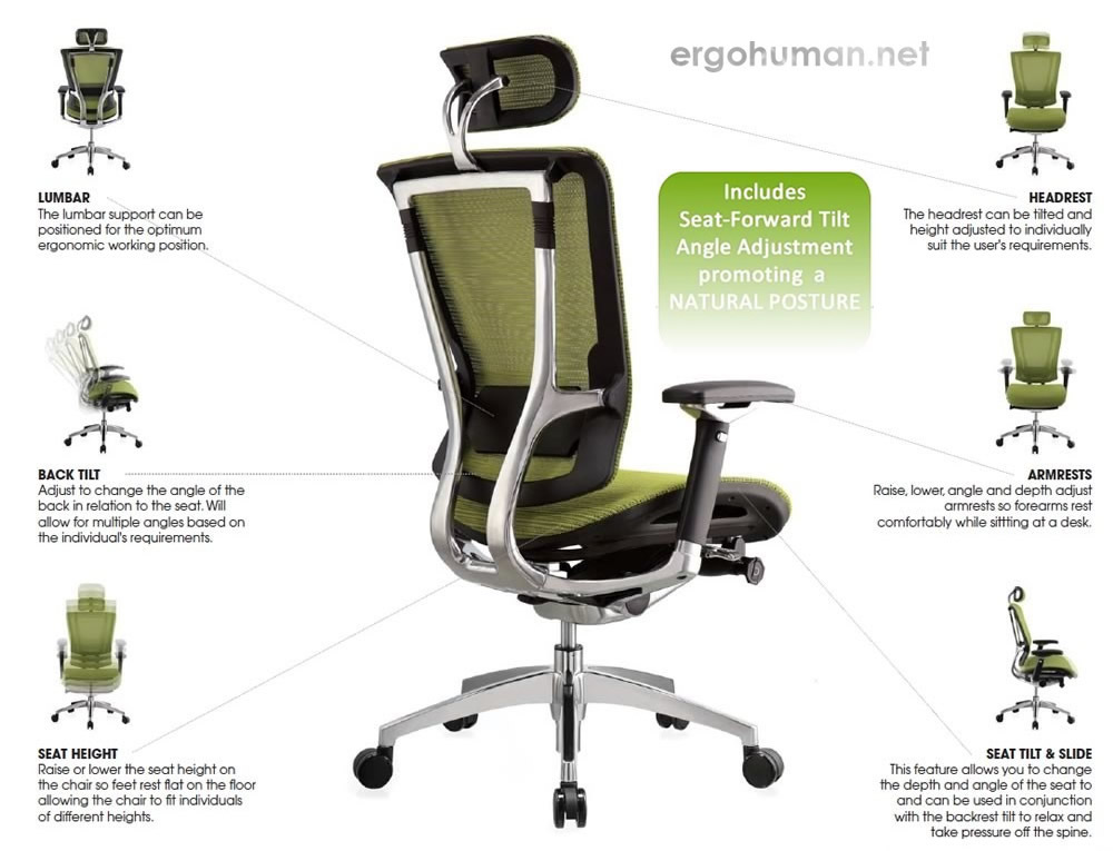 Ergohuman Chair Adjustments