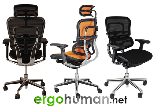 Ergohuman Mesh Office Chair